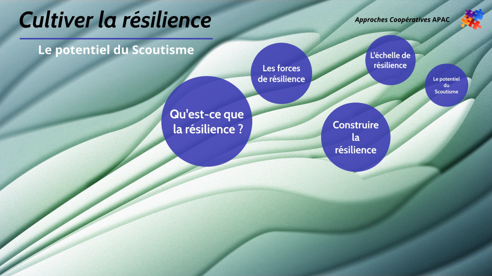 Re silience cover 1